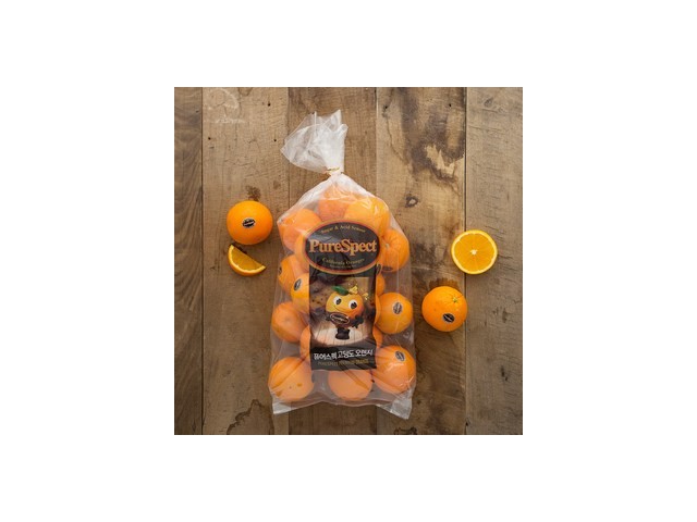 블랙라벨퓨어스펙오렌지 실용적이면서 세련된 제품 추천